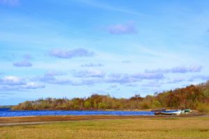 West Ireland April 2016 0012