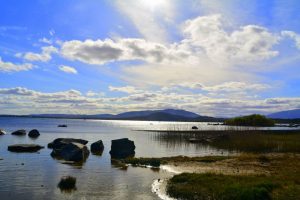 West Ireland April 2016 0013