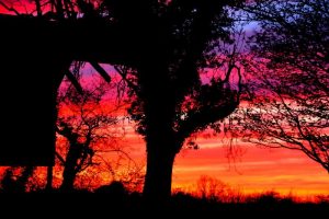 West Ireland April 2016 0014