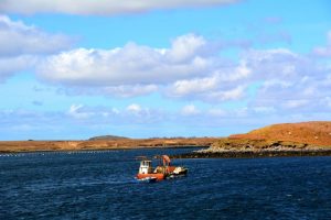 West Ireland April 2016 0016
