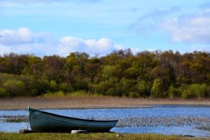 West Ireland April 2016 0021