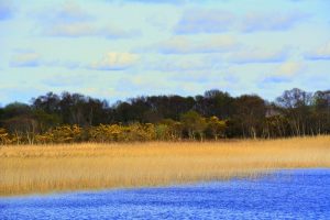West Ireland April 2016 0023